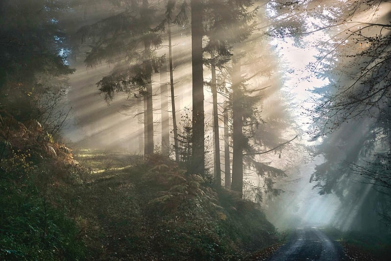 Mystical Insights